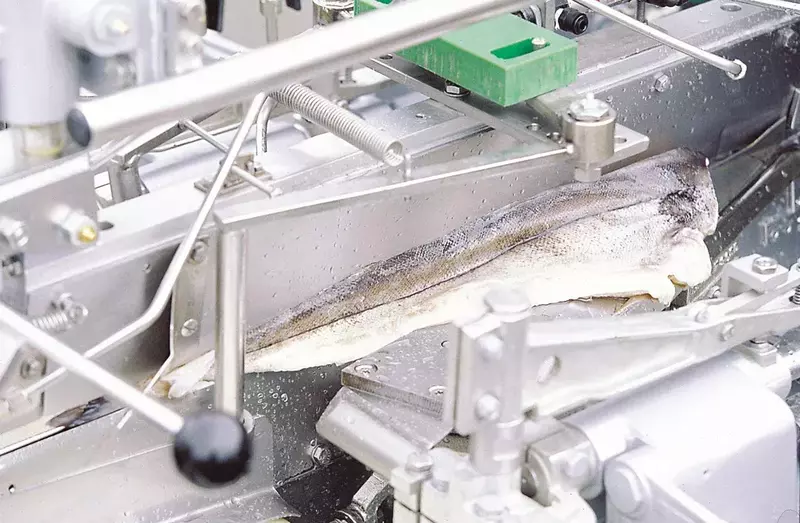 Lebensmittel Schnittsteuerung