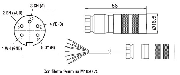 Z KD567-encoder-connettore-femmina-it